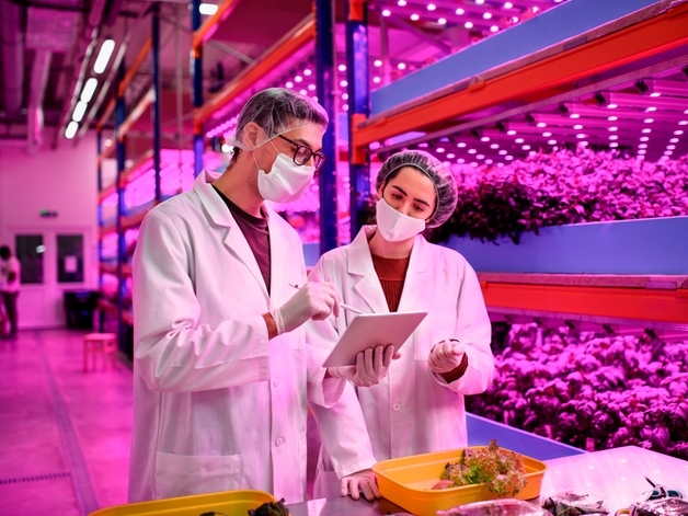 medición del pH en una planta inteligente de agricultura vertical para garantizar alimentos de la máxima calidad