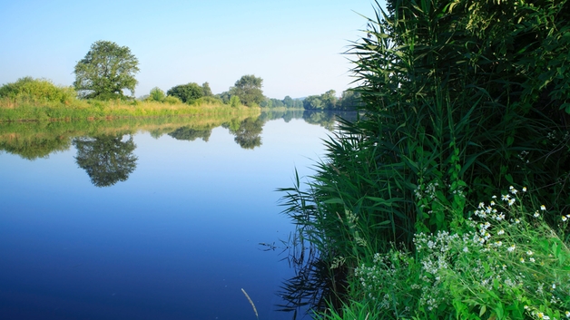Protección medioambiental