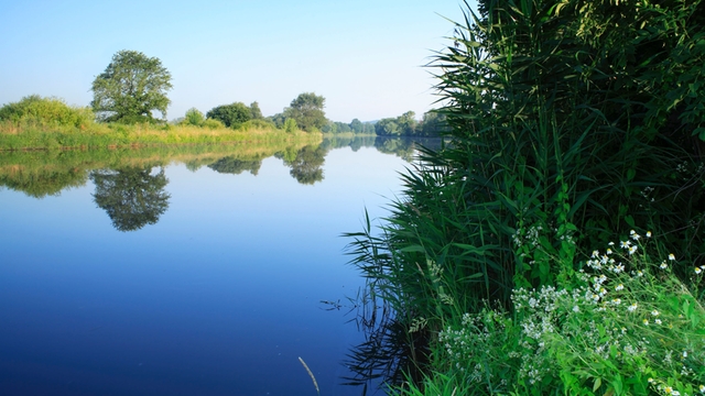 Proteger los ecosistemas y recursos de agua natural como ríos y lagos.