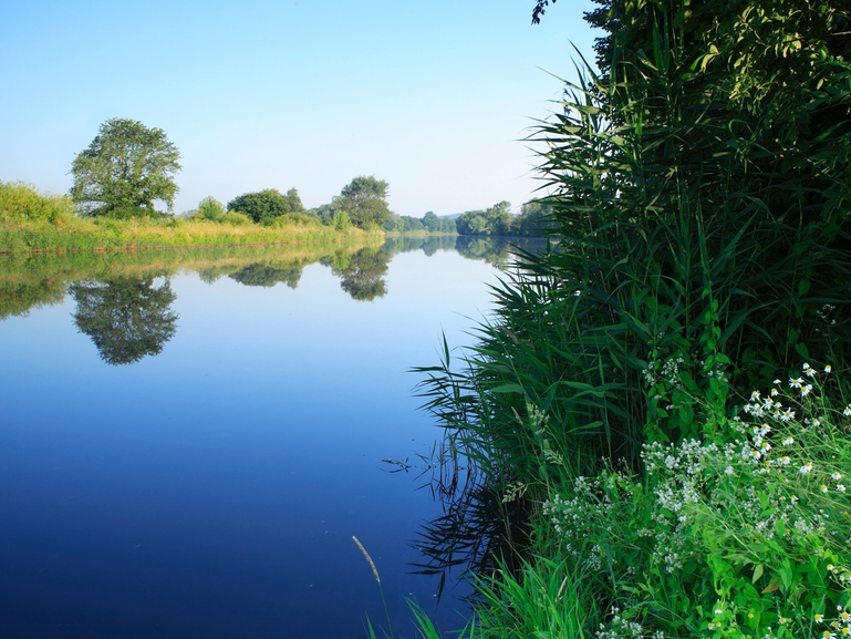 Proteger los ecosistemas y recursos de agua natural como ríos y lagos.