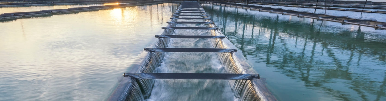 Soluciones de proceso para la industria del tratamiento de aguas y aguas residuales