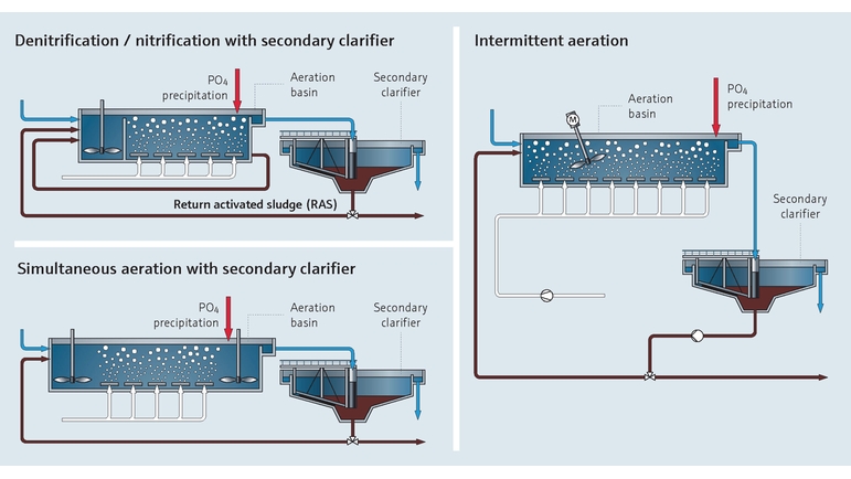 Process map of phosphorus removal in wastewater treatment plants