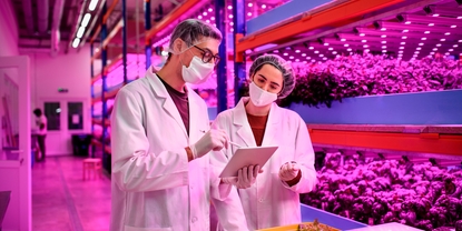 medición del pH en una planta inteligente de agricultura vertical para garantizar alimentos de la máxima calidad