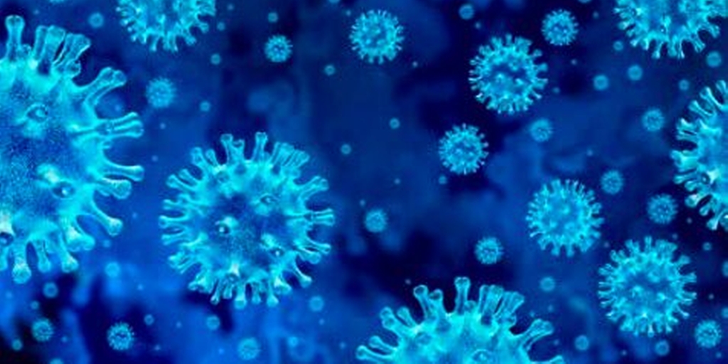 Virus SARSCoV-2