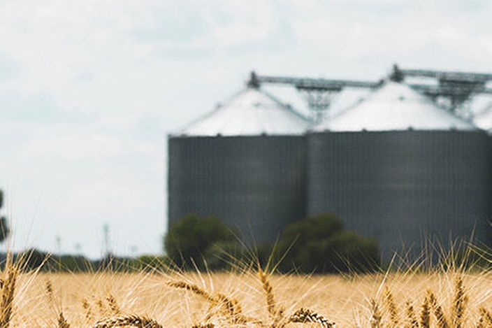 Una planta con múltiples silos para el almacenamiento de alimentos, por ejemplo granos